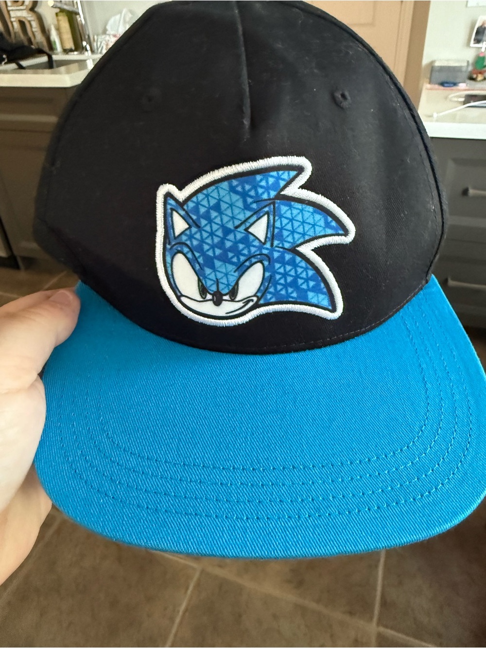 Sonic Character Snapback Hat